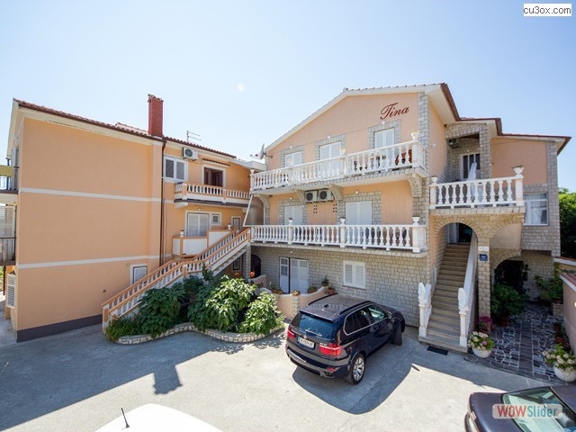 cigo_doma5204